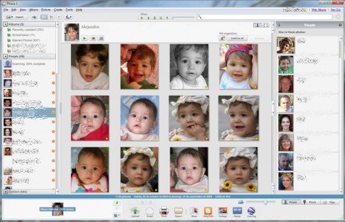 Picasa 3.5