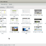 MeeGo-explorador MeeGo-explorador